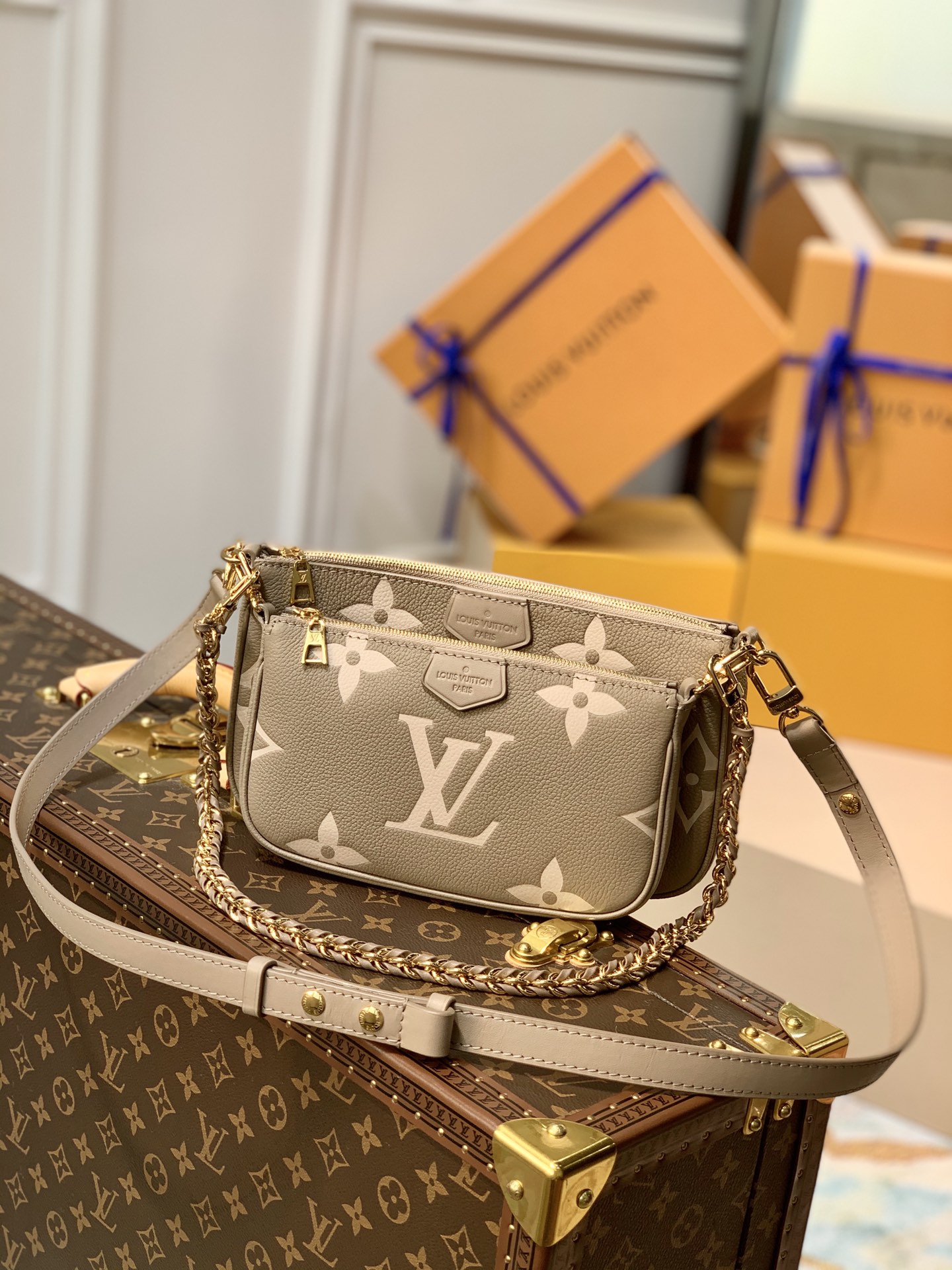 LV Satchel bags